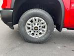 2025 Chevrolet Silverado 2500 Regular Cab 4x4 Pickup for sale #D00195 - photo 29