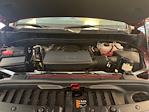 2025 Chevrolet Silverado 1500 Crew Cab 4x4 Pickup for sale #D00217 - photo 23