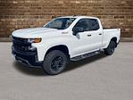 2019 Chevrolet Silverado 1500 Double Cab 4x4 Pickup for sale #D50246 - photo 1