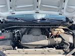 2019 Chevrolet Silverado 1500 Double Cab 4x4 Pickup for sale #D50246 - photo 20