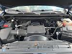 2024 Chevrolet Silverado 2500 Crew Cab 4x4 Pickup for sale #D50253 - photo 19
