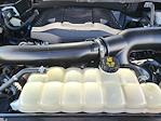 2021 Ford F-150 SuperCrew Cab 4x4 Pickup for sale #38003A - photo 19