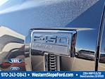 2025 Ford F-150 SuperCrew Cab 4x4 Pickup for sale #38709 - photo 14