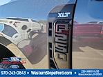 2025 Ford F-250 Crew Cab 4x4 Pickup for sale #39026 - photo 14