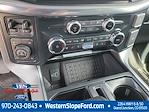 2025 Ford F-150 SuperCrew Cab 4x4 Pickup for sale #39183 - photo 18