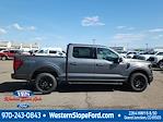 2025 Ford F-150 SuperCrew Cab 4x4 Pickup for sale #39215 - photo 3