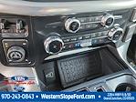 2025 Ford F-150 SuperCrew Cab 4x4 Pickup for sale #39220 - photo 17
