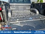 2025 Ford F-150 Lightning SuperCrew Cab 4x4 Pickup for sale #39226 - photo 13