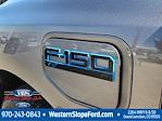 2025 Ford F-150 Lightning SuperCrew Cab 4x4 Pickup for sale #39226 - photo 15