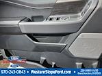 2025 Ford F-150 SuperCrew Cab 4x4 Pickup for sale #39275 - photo 9