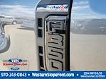 2025 Ford F-350 Crew Cab SRW 4x4 Pickup for sale #39281 - photo 13