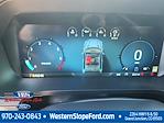 2025 Ford F-150 SuperCrew Cab 4x4 Pickup for sale #39303 - photo 16
