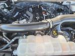 2024 Ford F-150 SuperCrew Cab 4x4 Pickup for sale #39428B - photo 19