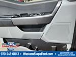 New 2025 Ford F-350 Crew Cab 4x4 DRW Pickup for sale #39444 - photo 9