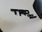 2024 Toyota Sequoia 4WD SUV for sale #39488A - photo 12