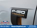 New 2025 Ford F-150 Tremor SuperCrew Cab 4x4 Pickup for sale #39553 - photo 13