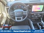 2025 Ford F-350 Crew Cab SRW 4x4 Pickup for sale #39677 - photo 10