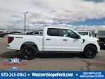New 2025 Ford F-150 STX SuperCrew Cab for sale #39786 - photo 10