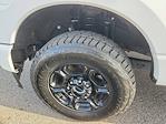 2023 Ford F-350 Crew Cab SRW 4x4 Pickup for sale #39799A1 - photo 20