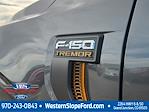 New 2025 Ford F-150 Tremor SuperCrew Cab for sale #40126 - photo 14