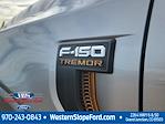 2025 Ford F-150 SuperCrew Cab 4x4 Pickup for sale #40185 - photo 14