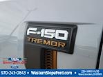 2025 Ford F-150 SuperCrew Cab 4x4 Pickup for sale #40333 - photo 15