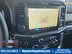 2025 Ford F-150 SuperCrew Cab 4x4 Pickup for sale #40372 - photo 17