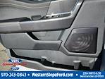 2025 Ford F-150 SuperCrew Cab 4x4 Pickup for sale #40373 - photo 9