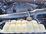 Used 2020 Ford F-150 Raptor SuperCrew Cab 4x4 Pickup for sale #68605 - photo 19