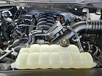 2023 Ford F-150 SuperCrew Cab 4x4 Pickup for sale #68731 - photo 18