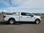 2023 Ford F-150 SuperCrew Cab 4x4 Pickup for sale #68731 - photo 3