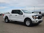 2023 Ford F-150 SuperCrew Cab 4x4 Pickup for sale #68736 - photo 1