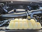 2020 Ford F-150 SuperCrew Cab 4x4 Pickup for sale #68768A - photo 18