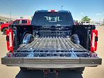 2024 Ford F-350 Crew Cab SRW 4x4 Pickup for sale #68782 - photo 11