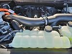 2025 Ford F-150 SuperCrew Cab 4x4 Pickup for sale #68782A - photo 19