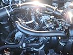 Used 2024 Ford Ranger Raptor SuperCrew Cab for sale #68897 - photo 19
