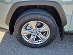 Used 2023 Toyota RAV4 XLE for sale #68954 - photo 6
