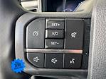 2023 Ford F-250 Crew Cab 4x4 Pickup for sale #PED29243 - photo 20