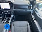 2023 Ford F-150 SuperCrew Cab 4x2 Pickup for sale #PFB16606 - photo 12