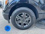 2023 Ford F-150 SuperCrew Cab 4x2 Pickup for sale #PFB16606 - photo 26