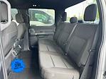 2023 Ford F-150 SuperCrew Cab 4x2 Pickup for sale #PFB84372 - photo 14