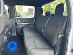 2023 Ford F-150 SuperCrew Cab 4x2 Pickup for sale #PFC29192 - photo 14