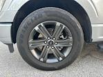 2023 Ford F-150 SuperCrew Cab RWD Pickup for sale #PFC56851 - photo 29