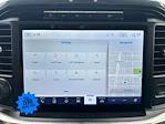 2023 Ford F-150 SuperCrew Cab 4WD Pickup for sale #PFC95496 - photo 17
