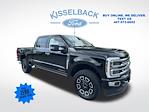 2024 Ford F-350 Crew Cab SRW 4x4 Pickup for sale #REE71853 - photo 1