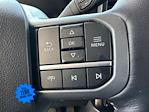 2024 Ford F-250 Crew Cab 4x4 Pickup for sale #REF00634 - photo 22