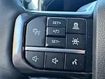 Used 2025 Ford F-250 Platinum Crew Cab for sale #SED08630 - photo 24