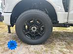 New 2025 Ford F-350 XL Regular Cab 4x4 SRW Pickup for sale #SED21371 - photo 20
