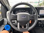 2025 Ford F-250 Crew Cab 4x4 Pickup for sale #SED42528 - photo 17