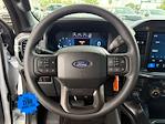 2025 Ford F-150 SuperCrew Cab 4x4 Pickup for sale #SFA11703 - photo 18